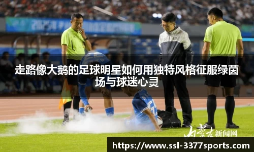 3377体育官网
